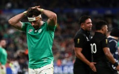 Ireland will face New Zealand in November seeking revenge for a World Cup quarter-final defeat