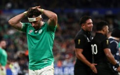 Ireland will face New Zealand in November seeking revenge for a World Cup quarter-final defeat